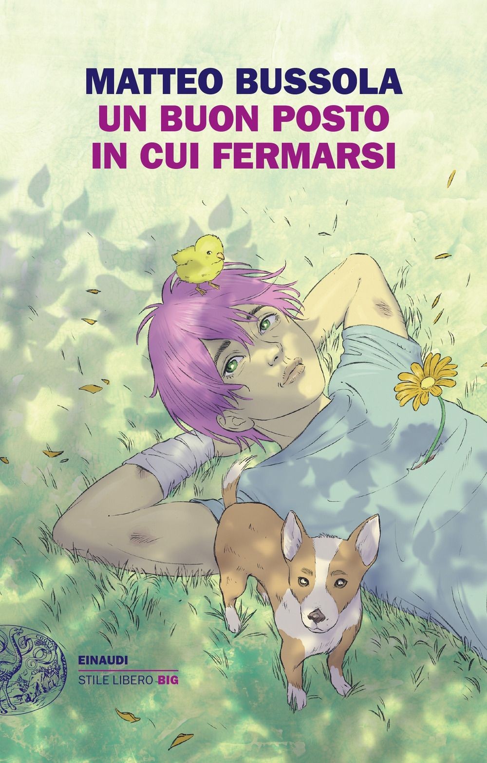Libri Matteo Bussola - Un Buon Posto In Cui Fermarsi