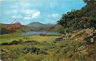 Ansichtskarte: - Llyn Dinas und Moel Hebog