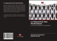 Anshuman Kharbanda (U. A.) | La RéParation Des Perforations | Taschenbuch (2021)