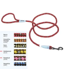 Coastal K9 Explorer 6ft Reflective Safety Lead 