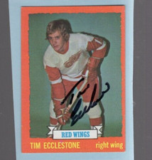 Autographed Tim Ecclestone Red Wings 1973-4 Topps #124 EXNRMT free shipping