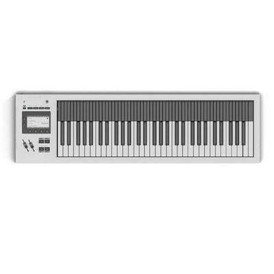 Expressive-E Osmose CE 61 Expressive Midi Keyboard Controller mit MPE