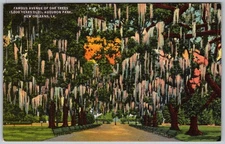 Vtg Linen Postcard Avenue Of Oak Trees New Orleans, LA 1930s