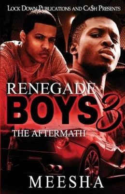 Renegade Boys 3: The Aftermath (Renegade Boys) von Meesha [Taschenbuch]