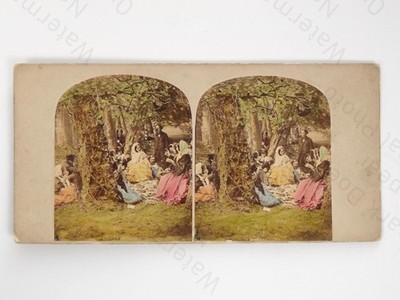 James Elliott Group Picknick handgetönt Stereoansicht 1850er Genre