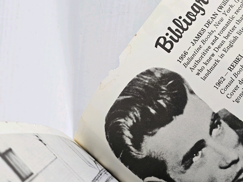 Morrissey 'James Dean Is Not Dead' Book 1983 Babylon Books The Smiths Vintage - Picture 23 of 24