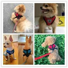 Breathable Mesh Small Dog Pet Harness And Leash Set Puppy Cat Vest Harness Cat A