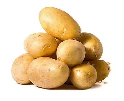 ILONA Kartoffelsamen 0,02g Bio gute Ernte Garten weltweiter Versand