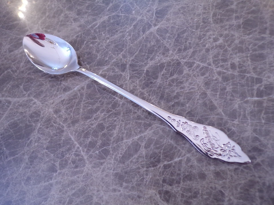 BSF FRIESENMUSTER ein Pharisäerlöffel 17.5 cm für 6 Personen 18/8 TOP