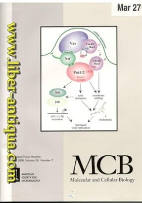 Molecular and cellular biology  Volume 20  Issue 7  8
