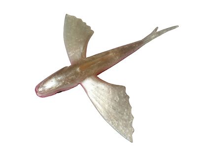 cnc program for fishing lures Cnc Files for Fishing Lures