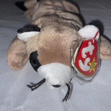 TY Beanie Baby "Ringo" 1995 RARE Tush Tag, Multiple Errors MINT CONDITION