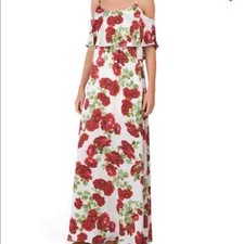 Show me your mumu Caitlin ruffle maxi dress
