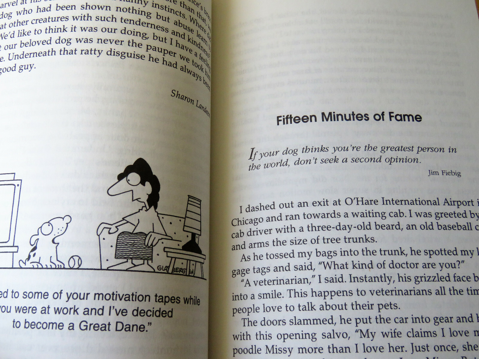 Chicken Soup for the Cat & Dog Lover's Soul Book eBay