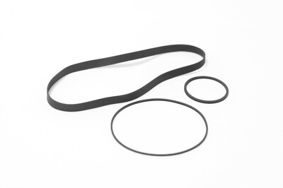 Cinghie Dentate Con Falsi Denti