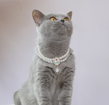 Cute Cat Collar Puppy Pet Necklace Small Dog Bling Rose Pearl Collars