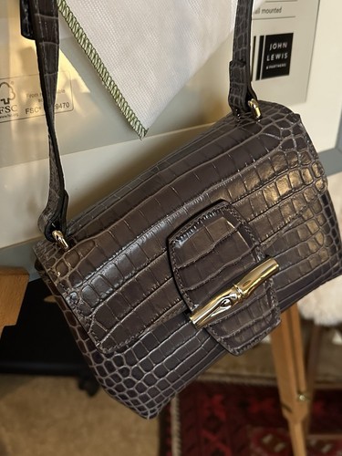 Longchamp Roseau Croco Crossbody Bag, Very Parisian very Chic - Picture 4 of 10