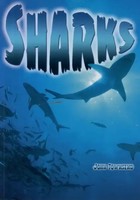 John Townsend | Sharks | Taschenbuch | Englisch (2014) | Kartoniert / Broschiert