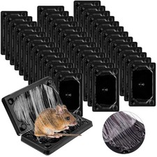 Qualirey 40 Pcs Baited Mouse Glue Traps Indoor for Home Adhesive Plastic Stic...