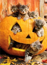 "peek-a-boo!" AVANTI CAT HALLOWEEN CARD Adorable Kittens in Jack-o-Lantern