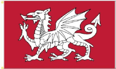 3X5 BRITISH WHITE DRAGON OF ENGLAND RED FLAG BANNER 100D