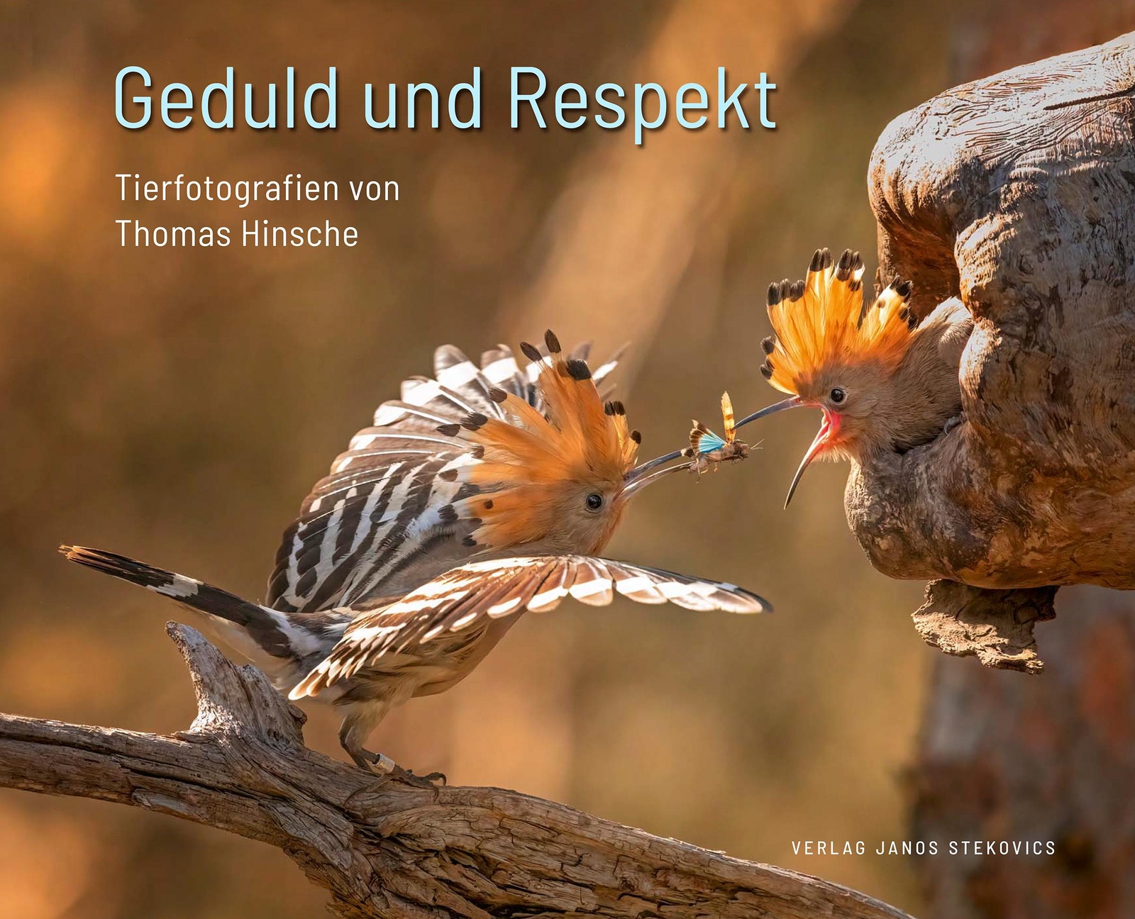 Thumbnail - Geduld Und Respekt