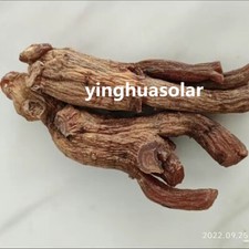 10-12 anni Top Grade AAAA+++++ Wild Old Red Ginseng migliore qualità