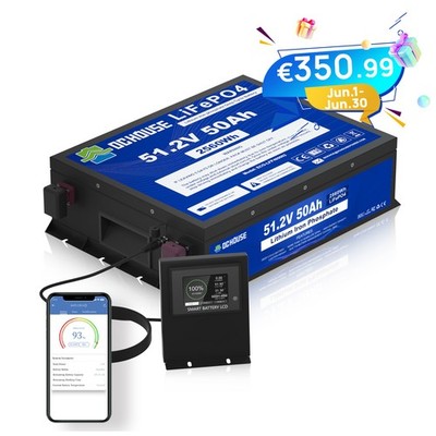 5KW 48V 50Ah 100Ah 200Ah Bluetooth LiFePO4 Akku Lithium Batterie Wohnmobil