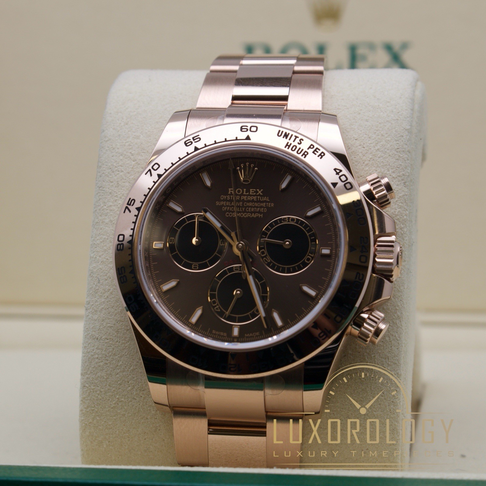 August 2025 Unworn Rolex Daytona 126505 ‘Chocolate Dial’ **BELOW RRP** image 2
