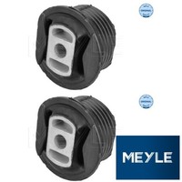 2X Lagerung FüR AchsköRper Meyle 0140350009 Lagerung AchsköRper Buchsen