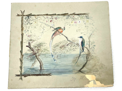 1900s ORIGINAL PAINT PENCIL ARTWORK DRAWINGS MARIA BERTA BIRDS AUSTRIA EUROPE