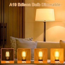 Dimmable LED Edison Bulbs 6W 60W Equivalent E26 Base, 2200K Amber - 2 Pack