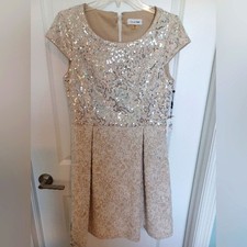 Calvin Klein Sequins & Lace Fit & Flair Dress.  Size 10  New With Tags