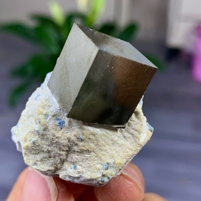 46G Natural Spanish Pyrite Cubic raw stone crystal quartz mineral sample