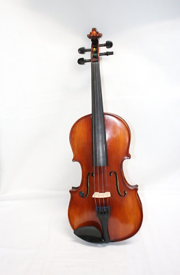 DanteViolin Solid wood Violin 4/4 AV11144 | eBay