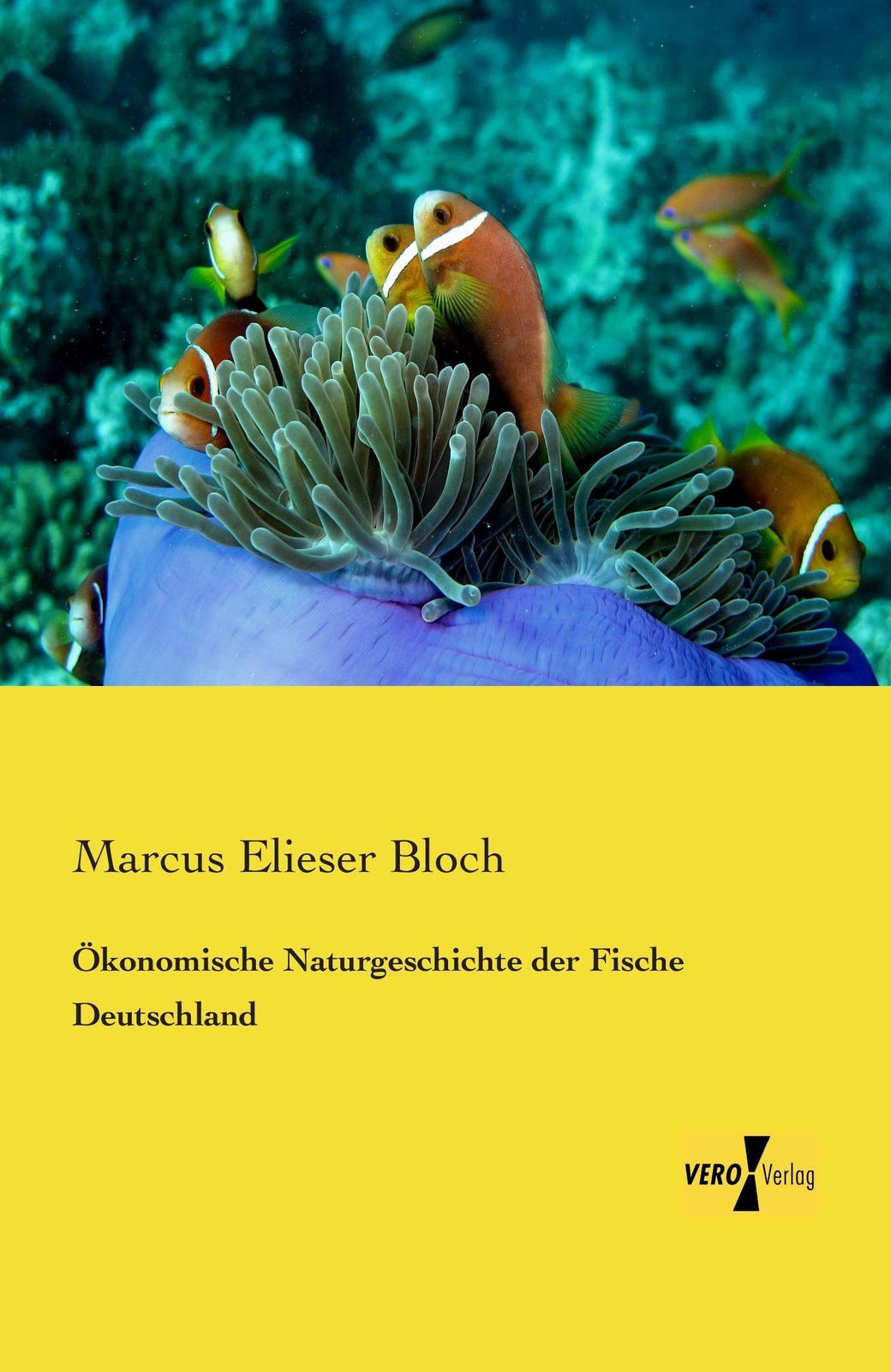 Thumbnail - Marcus Elieser Bloch | Ökonomische Naturgeschichte Der Fische