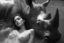 Akt Foto Erotik Sanfte Riesen A05472003 XL 12...