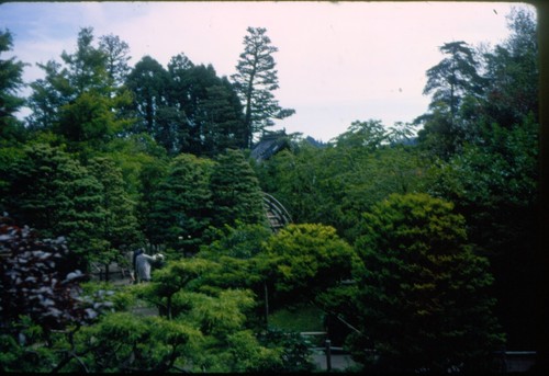 28 vtg 35mm slides 1968 San Francisco California conservatory gardens seal rock - Picture 18 of 24
