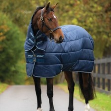 Horseware Amigo Insulator