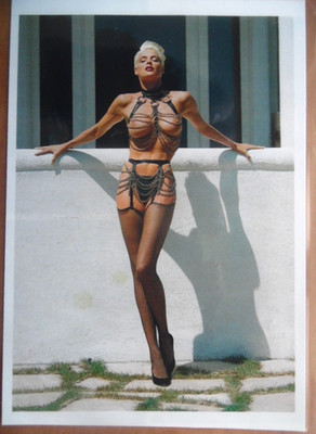 BRIGITTE NIELSEN  --- laminiert Autogrammkarte AK 0166 L