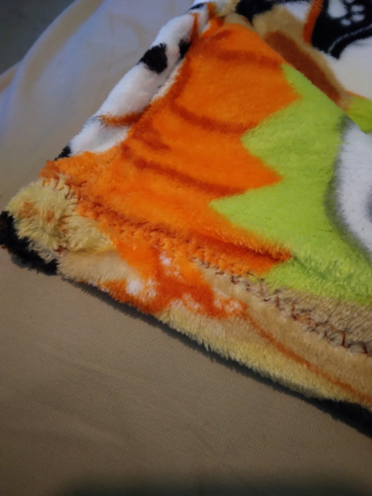 Bild 3 von 3