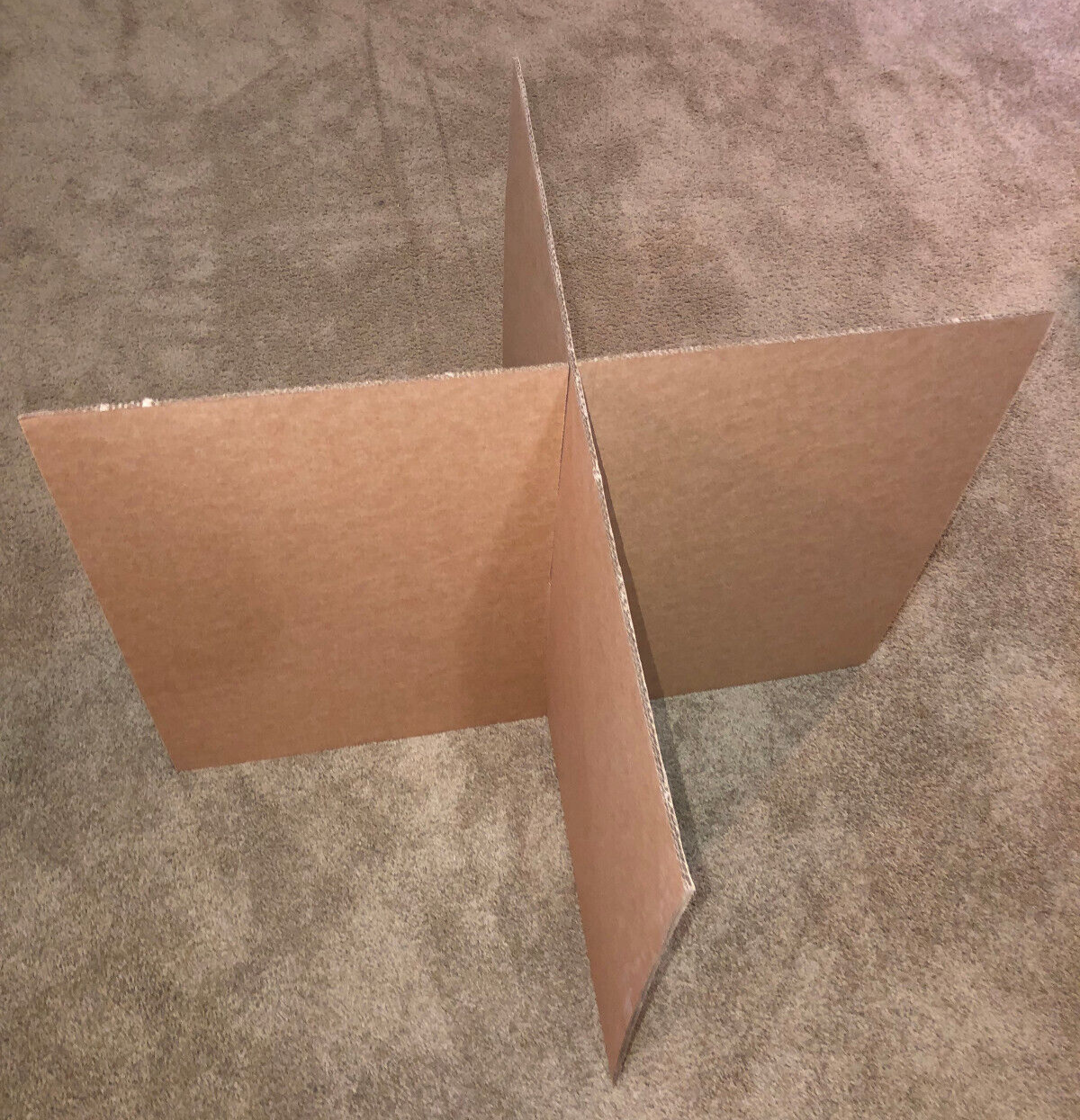 Picture 5 of 5