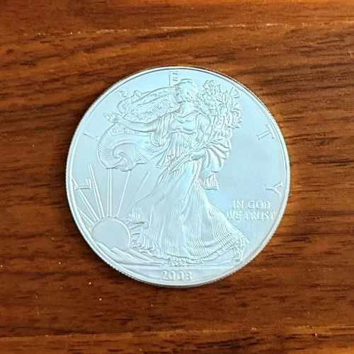 2008 "American Silver Eagle" Uncirculated 1 Oz .999 Fine Silver Bullion BU! 🔰