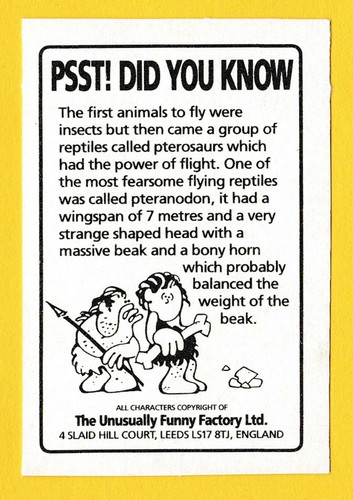 Ungewöhnlich lustige Factory Prehistorigum - UK Trade Trading Card #29 Dintarfurtus - Bild 2 von 2