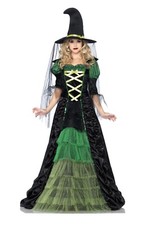 Adult Storybook Witch Costume Small FREE SHIPPING
