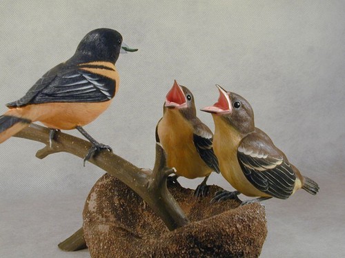 Oriole et bébés ventes exceptionnelles de Baltimore sculpture originale sur bois