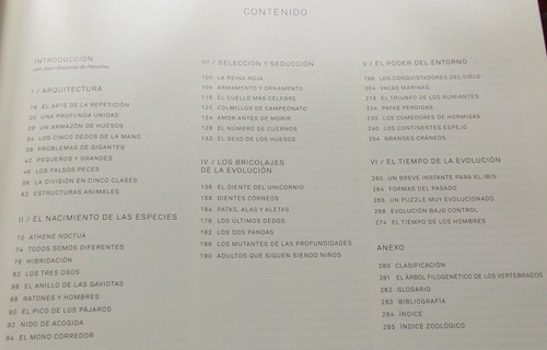 EVOLUCION JEAN BAPTISTE PANNAFIEU texte espagnol - Picture 2 of 5