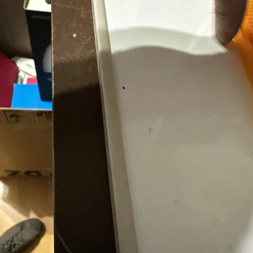 Lente riflettore arancione originale Proton Saga lato sinistro O/S - EP81510 - Immagine 4 di 4