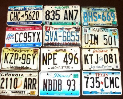 12 U.S. authentic license plates from different states. **For display purposes**