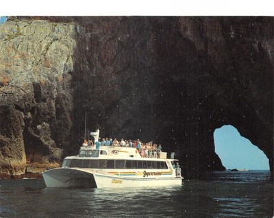 NEW ZELAND TOPIGRAPHICAL POSTCARD TIGER LILY SUPERCRUISES  CONTINENTAL SIZE G VG